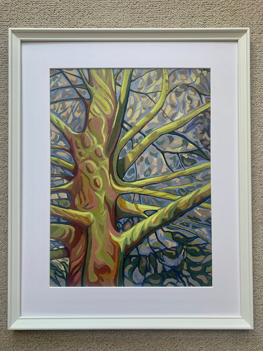 A3 size - DULWICH PARK Turkey Oak Tree London - Original oil painting