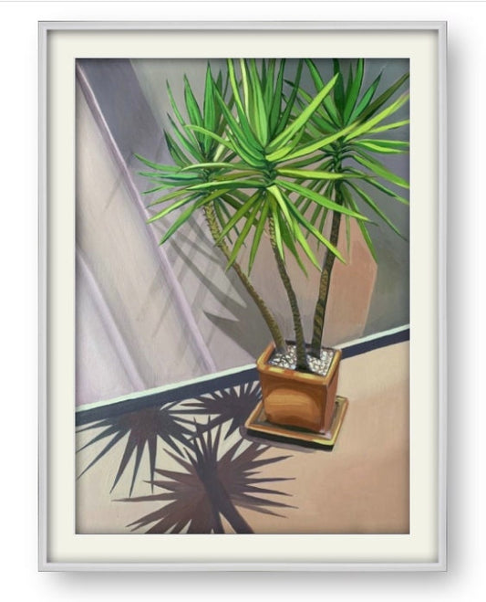 16.5 x 23 inch - YUKKA PLANT Canary Islands - Original Oil Painting