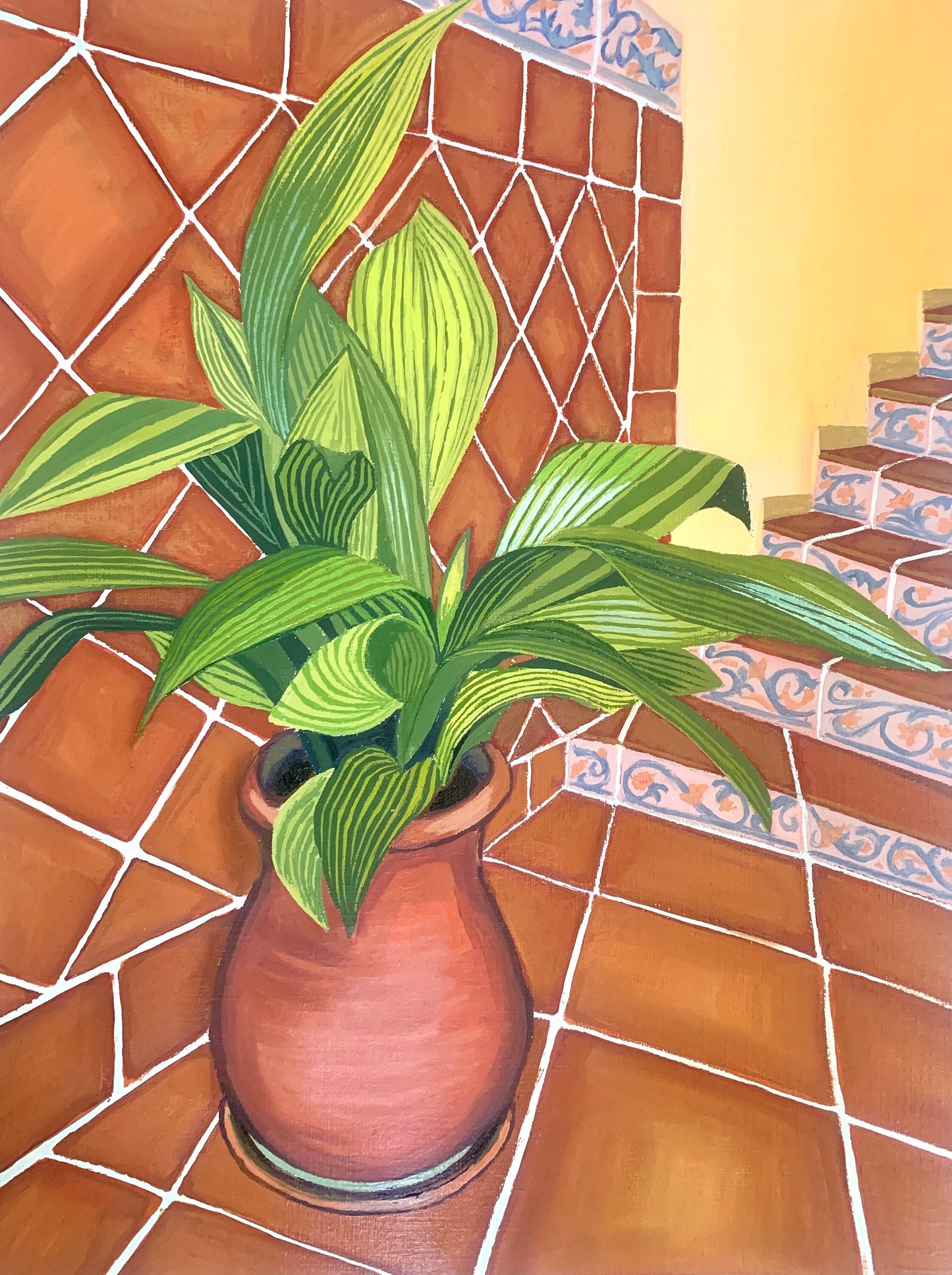 leafy green plant in a teracotta pot 