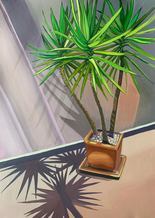 yukka plant painting gran canaria